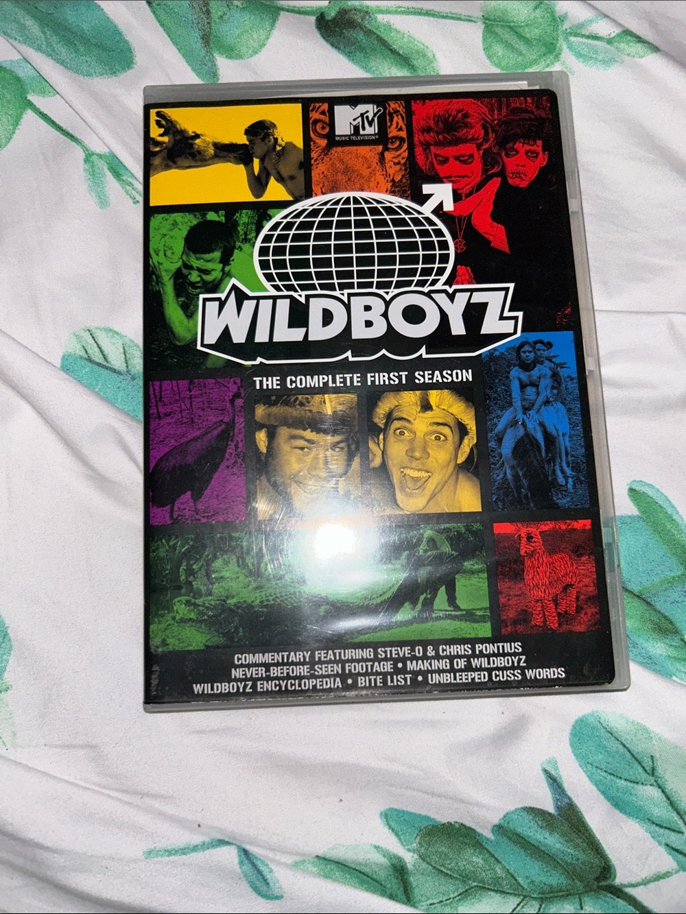 WILDBOYZ The Complete First Season DVD